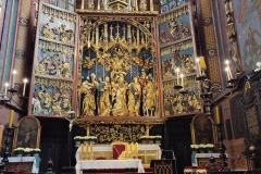 img_20221102_121537_copy_1500x2000