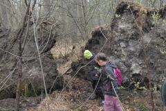 20260415_091824_copy_1530x2040