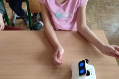 img_20221128_123029_copy_1500x2000