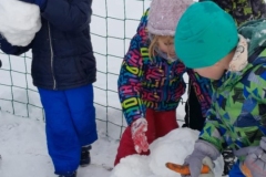 f99878bb-66d0-441f-80ae-ee310e1b1fe9