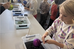 UNADJUSTEDNONRAW_thumb_3156