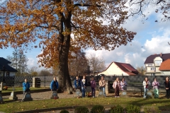IMG_20221102_115727