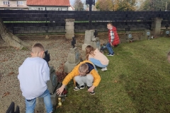 img_20231030_111340_1_copy_750x1000