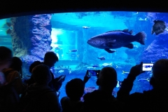 IMG_20221026_114301