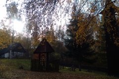 IMG_20221027_140449
