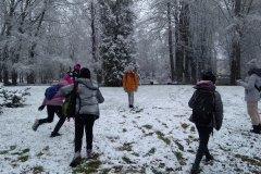IMG_20221118_131556