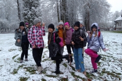 IMG_20221118_131608