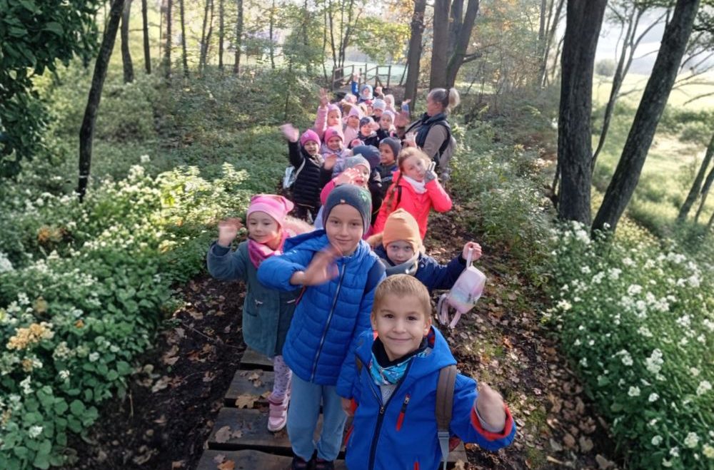 Las – zielona sala lekcyjna. Przedszkolaki uczą się w terenie