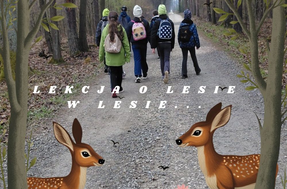 Lekcja o lesie w lesie….