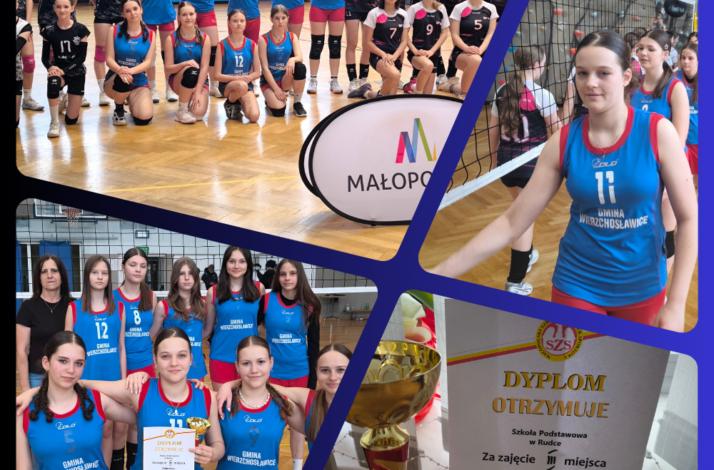 Brązowy medal naszych siatkarek w zawodach rejonowych!