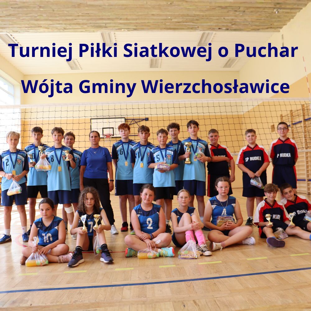 Turniej Piłki Siatkowej o Puchar Wójta Gminy Wierzchosławice