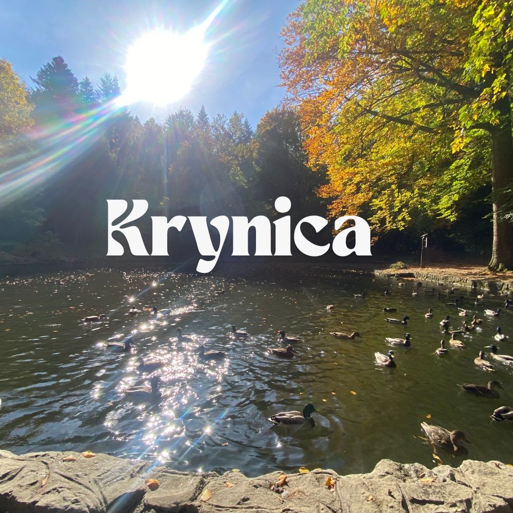 Krynica